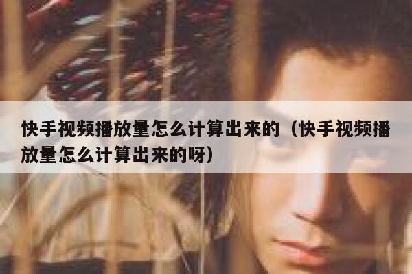 快手视频播放量怎么计算出来的(快手视频播放量怎么计算出来的呀) 第1张 快手视频播放量怎么计算出来的(快手视频播放量怎么计算出来的呀) 第1张