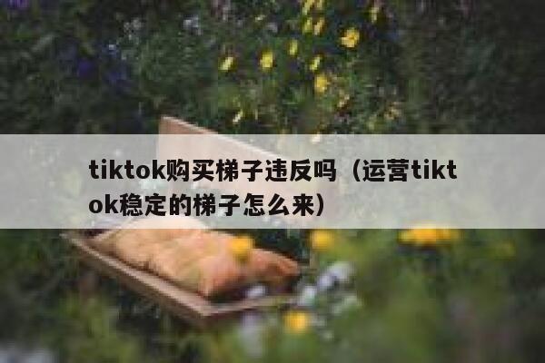 tiktok购买梯子违反吗(运营tiktok稳定的梯子怎么来) 第1张 tiktok购买梯子违反吗(运营tiktok稳定的梯子怎么来) 第1张