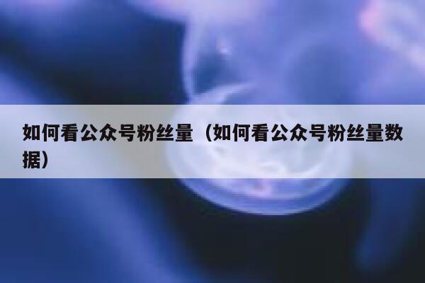 如何看公众号粉丝量（如何看公众号粉丝量数据） 第1张