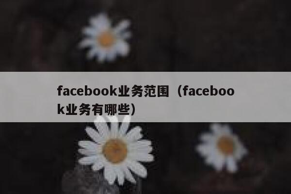 facebook业务范围(facebook业务有哪些) 第1张 facebook业务范围(facebook业务有哪些) 第1张