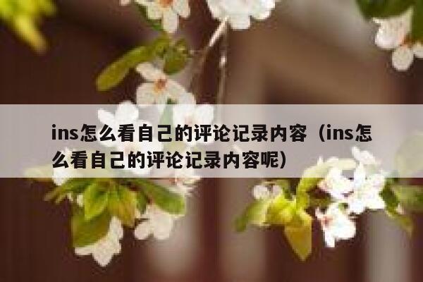ins怎么看自己的评论记录内容(ins怎么看自己的评论记录内容呢) 第1张 ins怎么看自己的评论记录内容(ins怎么看自己的评论记录内容呢) 第1张