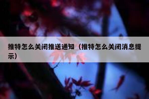 推特怎么关闭推送通知（推特怎么关闭消息提示） 第1张
