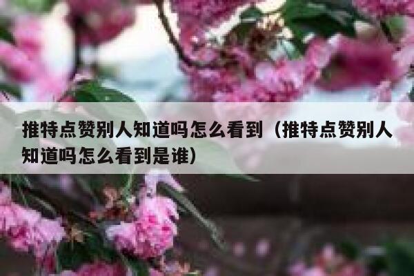 推特点赞别人知道吗怎么看到(推特点赞别人知道吗怎么看到是谁) 第1张 推特点赞别人知道吗怎么看到(推特点赞别人知道吗怎么看到是谁) 第1张