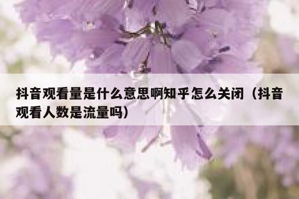 抖音观看量是什么意思啊知乎怎么关闭（抖音观看人数是流量吗） 第1张