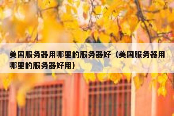 美国服务器用哪里的服务器好(美国服务器用哪里的服务器好用) 第1张 美国服务器用哪里的服务器好(美国服务器用哪里的服务器好用) 第1张