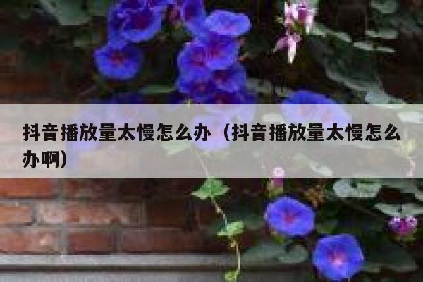 抖音播放量太慢怎么办（抖音播放量太慢怎么办啊） 第1张