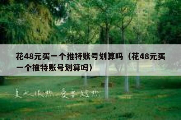 花48元买一个推特账号划算吗(花48元买一个推特账号划算吗) 第1张 花48元买一个推特账号划算吗(花48元买一个推特账号划算吗) 第1张