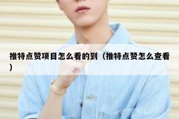 推特点赞项目怎么看的到（推特点赞怎么查看） 第1张