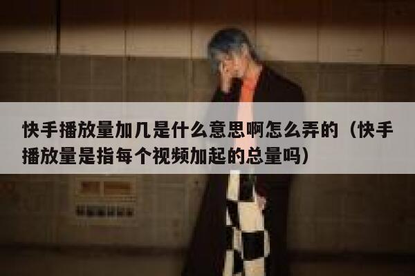快手播放量加几是什么意思啊怎么弄的（快手播放量是指每个视频加起的总量吗） 第1张