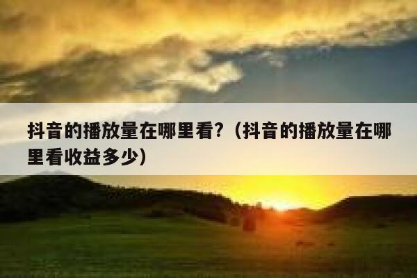 抖音的播放量在哪里看?(抖音的播放量在哪里看收益多少) 第1张 抖音的播放量在哪里看?(抖音的播放量在哪里看收益多少) 第1张