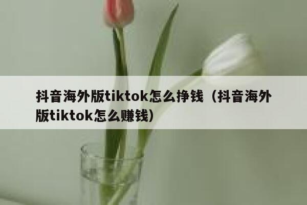 抖音海外版tiktok怎么挣钱(抖音海外版tiktok怎么赚钱) 第1张 抖音海外版tiktok怎么挣钱(抖音海外版tiktok怎么赚钱) 第1张