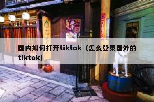 国内如何打开tiktok（怎么登录国外的tiktok） 第1张