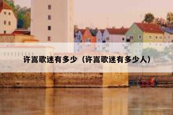 许嵩歌迷有多少(许嵩歌迷有多少人) 第1张 许嵩歌迷有多少(许嵩歌迷有多少人) 第1张