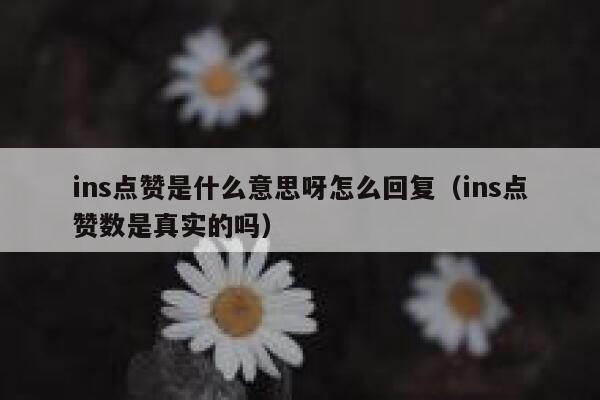 ins点赞是什么意思呀怎么回复(ins点赞数是真实的吗) 第1张 ins点赞是什么意思呀怎么回复(ins点赞数是真实的吗) 第1张