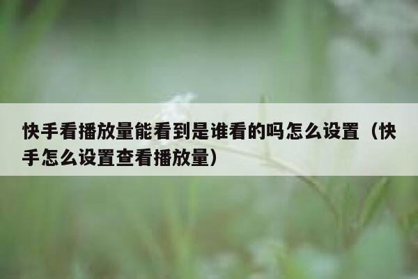 快手看播放量能看到是谁看的吗怎么设置（快手怎么设置查看播放量） 第1张