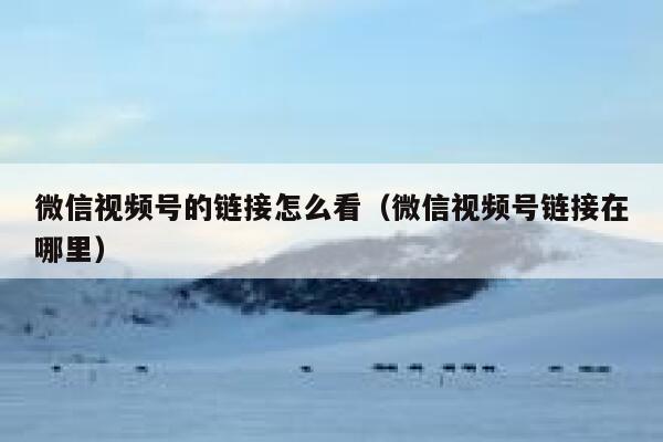 微信视频号的链接怎么看（微信视频号链接在哪里） 第1张