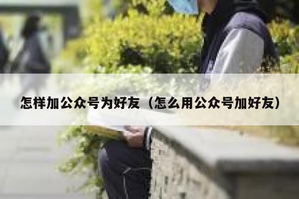 怎样加公众号为好友（怎么用公众号加好友） 第1张