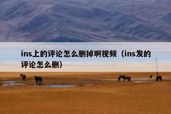 ins上的评论怎么删掉啊视频（ins发的评论怎么删） 第1张