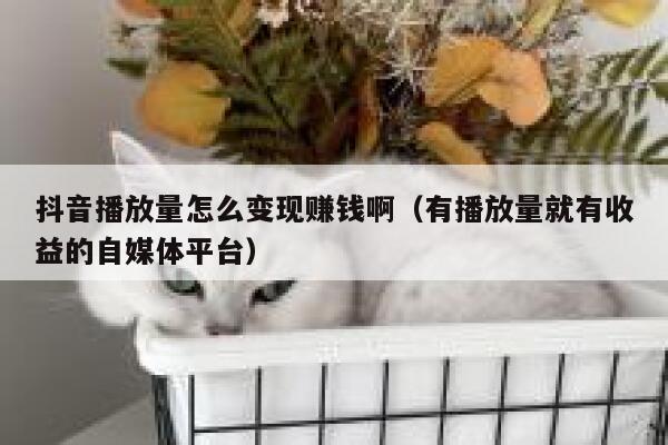 抖音播放量怎么变现赚钱啊（有播放量就有收益的自媒体平台） 第1张