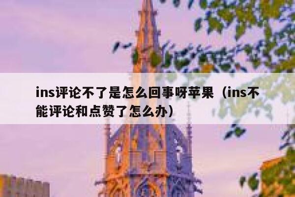 ins评论不了是怎么回事呀苹果（ins不能评论和点赞了怎么办） 第1张