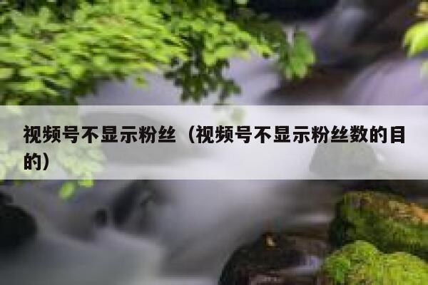 视频号不显示粉丝（视频号不显示粉丝数的目的） 第1张