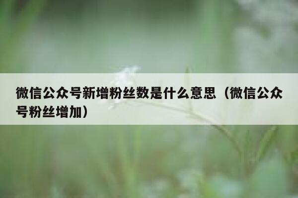 微信公众号新增粉丝数是什么意思（微信公众号粉丝增加） 第1张