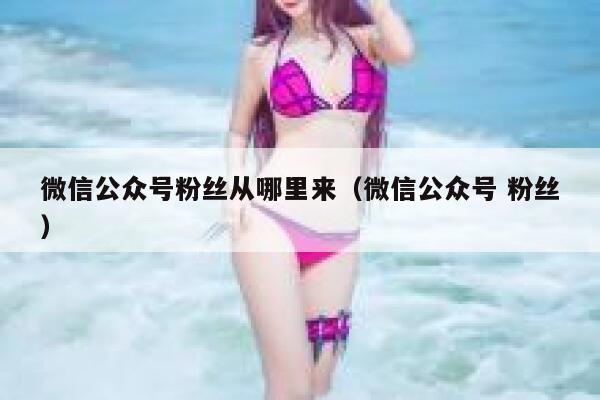 微信公众号粉丝从哪里来（微信公众号 粉丝） 第1张
