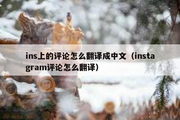 ins上的评论怎么翻译成中文（instagram评论怎么翻译） 第1张