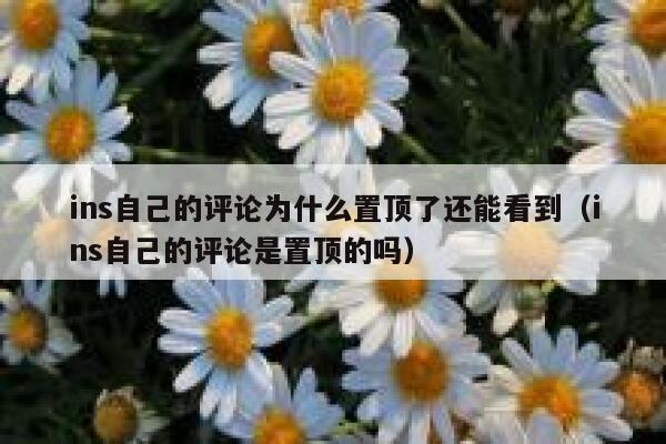 ins自己的评论为什么置顶了还能看到（ins自己的评论是置顶的吗） 第1张