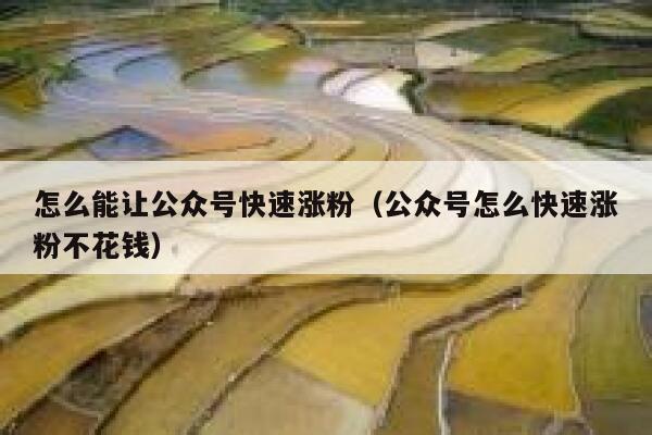 怎么能让公众号快速涨粉（公众号怎么快速涨粉不花钱） 第1张