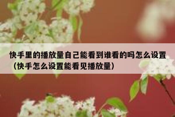 快手里的播放量自己能看到谁看的吗怎么设置（快手怎么设置能看见播放量） 第1张