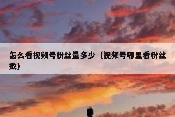 怎么看视频号粉丝量多少（视频号哪里看粉丝数） 第1张