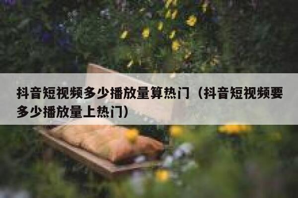抖音短视频多少播放量算热门（抖音短视频要多少播放量上热门） 第1张