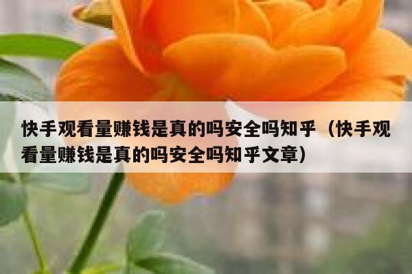快手观看量赚钱是真的吗安全吗知乎（快手观看量赚钱是真的吗安全吗知乎文章） 第1张