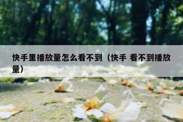 快手里播放量怎么看不到（快手 看不到播放量） 第1张