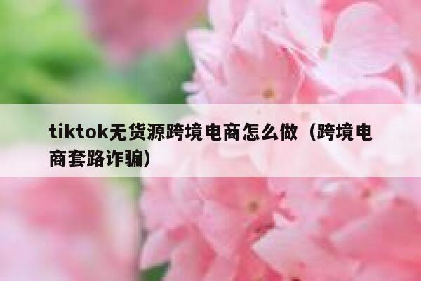 tiktok无货源跨境电商怎么做（跨境电商套路诈骗） 第1张