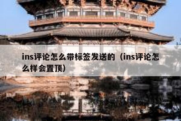 ins评论怎么带标签发送的（ins评论怎么样会置顶） 第1张