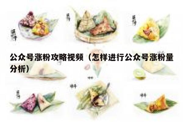 公众号涨粉攻略视频（怎样进行公众号涨粉量分析） 第1张