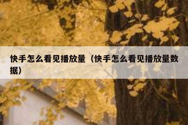 快手怎么看见播放量（快手怎么看见播放量数据） 第1张