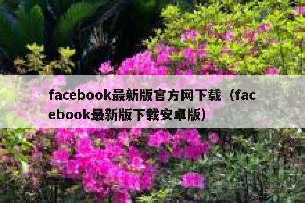 facebook最新版官方网下载（facebook最新版下载安卓版） 第1张