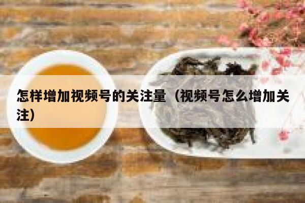 怎样增加视频号的关注量（视频号怎么增加关注） 第1张