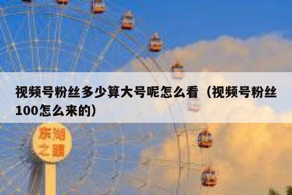 视频号粉丝多少算大号呢怎么看（视频号粉丝100怎么来的） 第1张