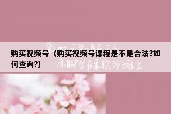 购买视频号（购买视频号课程是不是合法?如何查询?） 第1张