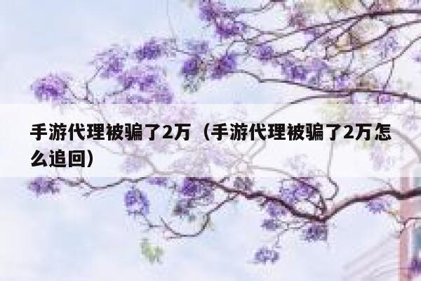 手游代理被骗了2万（手游代理被骗了2万怎么追回） 第1张
