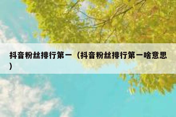 抖音粉丝排行第一（抖音粉丝排行第一啥意思） 第1张