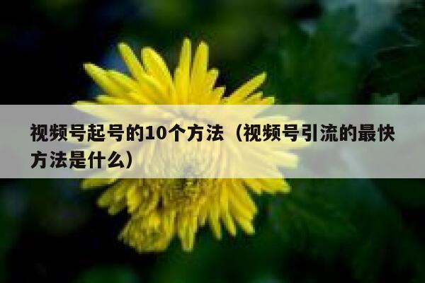 视频号起号的10个方法（视频号引流的最快方法是什么） 第1张