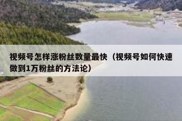 视频号怎样涨粉丝数量最快（视频号如何快速做到1万粉丝的方法论） 第1张