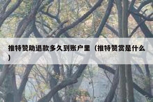 推特赞助退款多久到账户里（推特赞赏是什么） 第1张