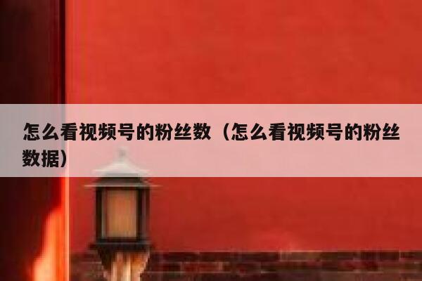 怎么看视频号的粉丝数（怎么看视频号的粉丝数据） 第1张