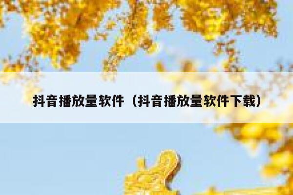 抖音播放量软件（抖音播放量软件下载） 第1张